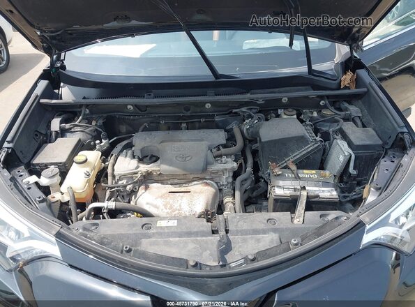 2T3JFREV1GW523464 2016 TOYOTA RAV4 Black Vista trasera