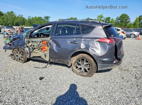 2T3JFREV3HW584476 2017 TOYOTA RAV4 Gray Tył lewy