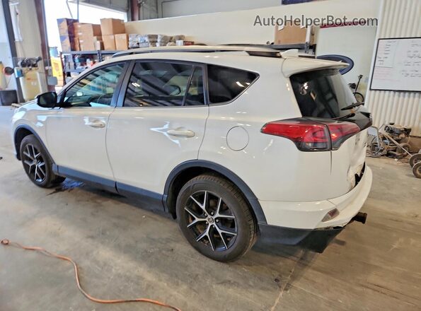 2T3JFREV4GW423438 2016 TOYOTA RAV4 Белый Задняя левая четверть