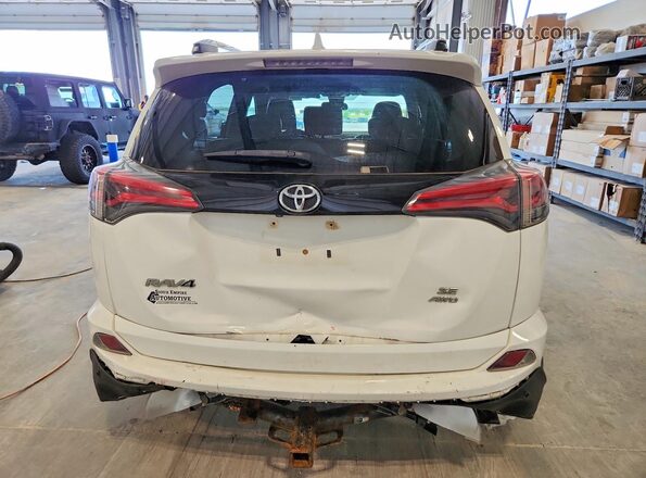 2T3JFREV4GW423438 2016 TOYOTA RAV4 Белый Вид сзади