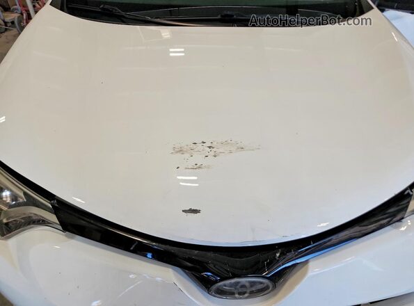 2T3JFREV4GW423438 2016 TOYOTA RAV4 Белый Вид задней части салона