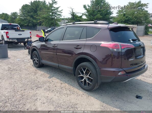 2T3JFREV5HW585838 2017 TOYOTA RAV4 Purple Tył lewy