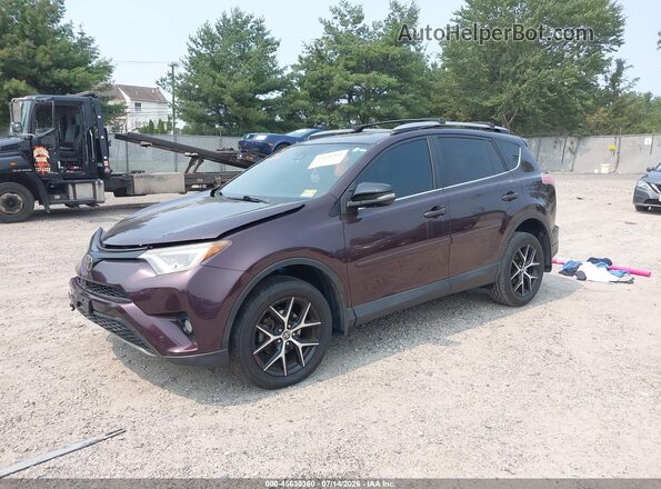 2T3JFREV5HW585838 2017 TOYOTA RAV4 Purple Przód lewy