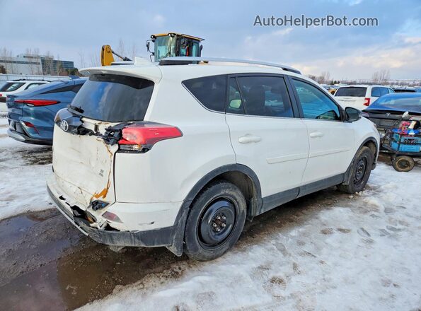 2T3JFREV7GW428522 2016 TOYOTA RAV4 White Trasero derecho
