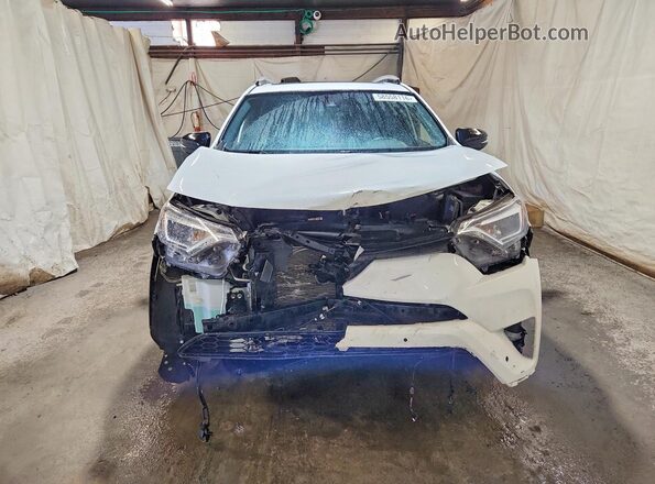 2T3JFREV8GW498448 2016 TOYOTA RAV4 White Widok z przodu