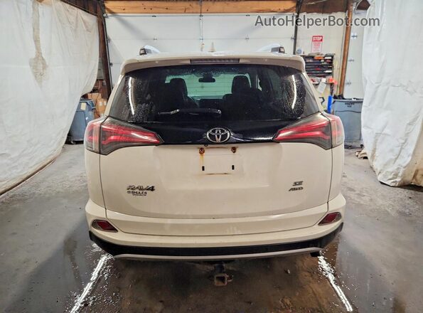 2T3JFREV8GW498448 2016 TOYOTA RAV4 White Widok z tyłu
