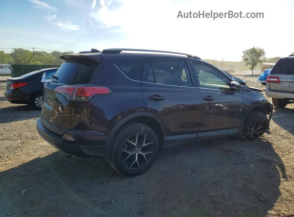 2T3JFREV9HW602026 2017 TOYOTA RAV4 Purple Tył prawy