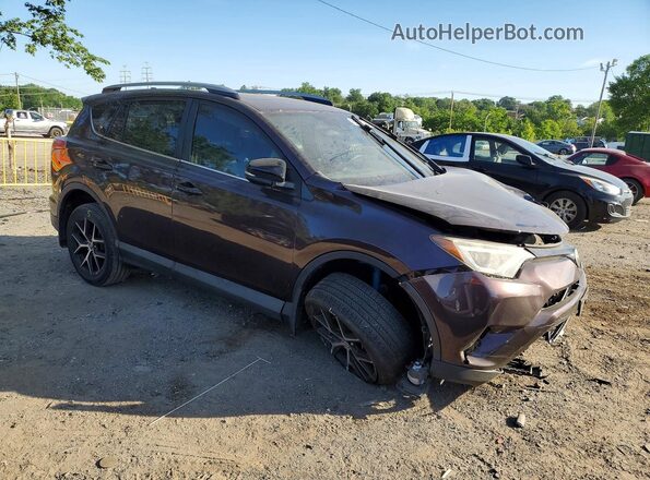 2T3JFREV9HW602026 2017 TOYOTA RAV4 Purple Przód prawy