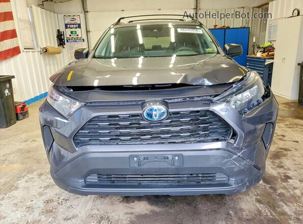 2T3LWRFV3KW036640 2019 TOYOTA RAV4 Серый Вид спереди