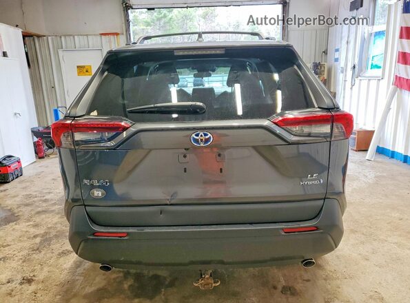 2T3LWRFV3KW036640 2019 TOYOTA RAV4 Серый Вид сзади