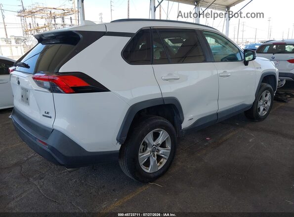 2T3LWRFV6KW043369 2019 TOYOTA RAV4 HYBRID White Задня права чверть