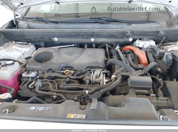 2T3LWRFV6KW043369 2019 TOYOTA RAV4 HYBRID White Вид ззаду