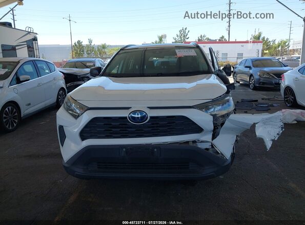 2T3LWRFV6KW043369 2019 TOYOTA RAV4 HYBRID White Вид задньої частини салону