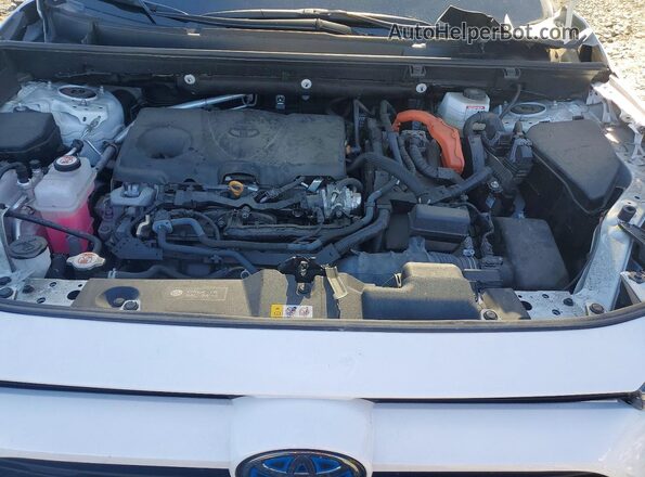 2T3MWRFV1RW187572 2024 TOYOTA RAV4 White უკანა სალონის ხედი