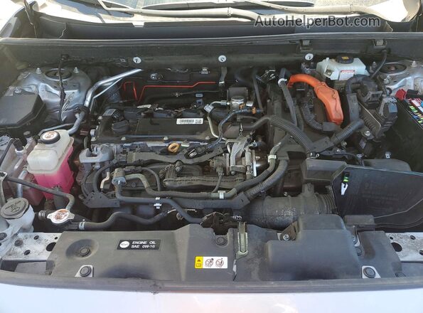 2T3MWRFV2LW074320 2020 TOYOTA RAV4 Silver Vista interior trasera