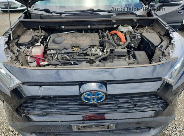 2T3MWRFV3KW038778 2019 TOYOTA RAV4 Черный Вид подкапотного пространства