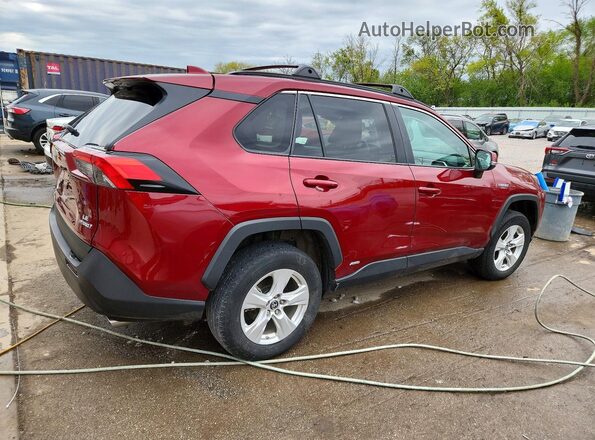 2T3MWRFV3MW127981 2021 TOYOTA RAV4 Red Հետևի աջ