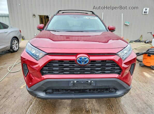 2T3MWRFV3MW127981 2021 TOYOTA RAV4 Red Դիմացի տեսք