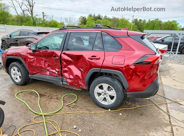2T3MWRFV3MW127981 2021 TOYOTA RAV4 Red Հետևի ձախ