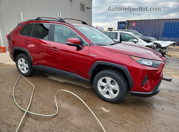 2T3MWRFV3MW127981 2021 TOYOTA RAV4 Red Առջևի աջ
