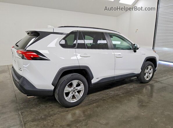 2T3MWRFV4MW116679 2021 TOYOTA RAV4 White Հետևի աջ