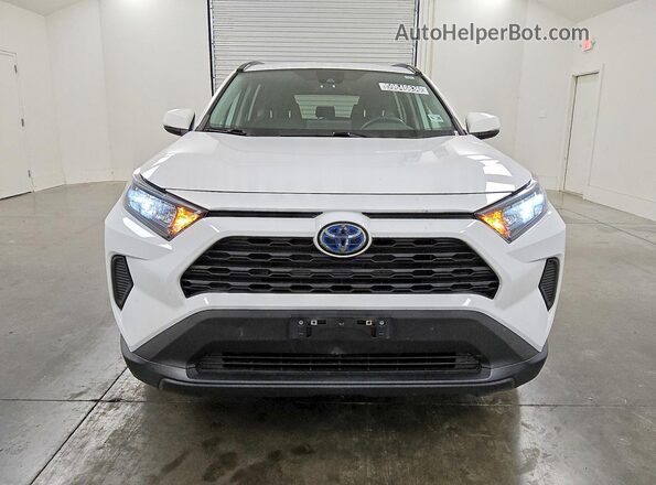 2T3MWRFV4MW116679 2021 TOYOTA RAV4 White Դիմացի տեսք