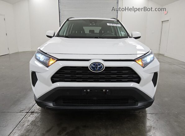 2T3MWRFV4MW116679 2021 TOYOTA RAV4 White 