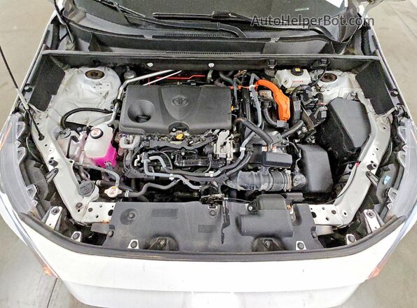 2T3MWRFV4MW116679 2021 TOYOTA RAV4 White Շարժիչի բաժամունքի տեսք