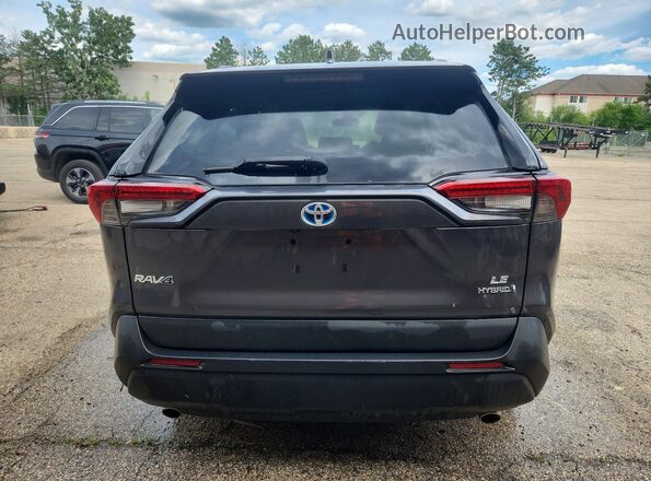 2T3MWRFV4PW171489 2023 TOYOTA RAV4 Gray Вид ззаду