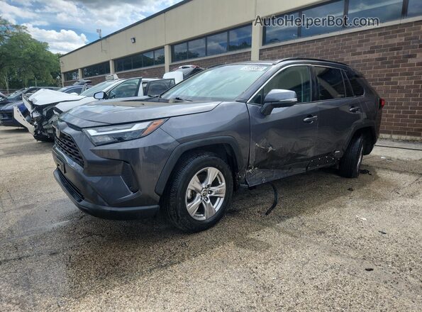 2T3MWRFV4PW171489 2023 TOYOTA RAV4 Gray Вид наклейки з VIN-кодом