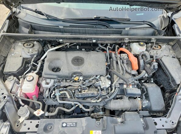 2T3MWRFV4PW171489 2023 TOYOTA RAV4 Gray Вид задньої частини салону