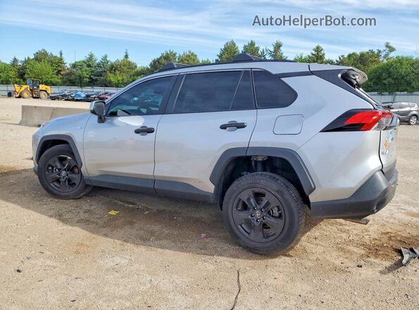 2T3MWRFV5KW031749 2019 TOYOTA RAV4 Silver Tył lewy