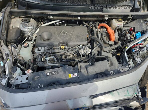 2T3MWRFV7RW209560 2024 TOYOTA RAV4 Silver Вид задньої частини салону