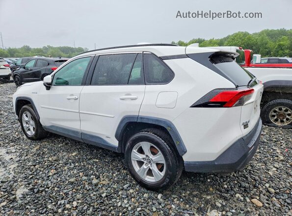 2T3MWRFV8LW047140 2020 TOYOTA RAV4 Белый Задняя левая четверть