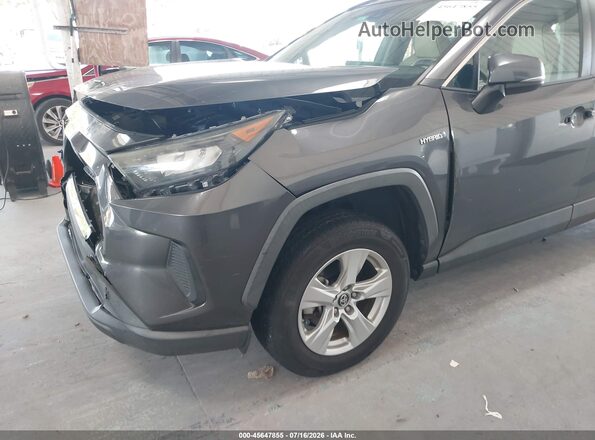 2T3MWRFVXKW004319 2019 TOYOTA RAV4 HYBRID Gray Դիմացի տեսք