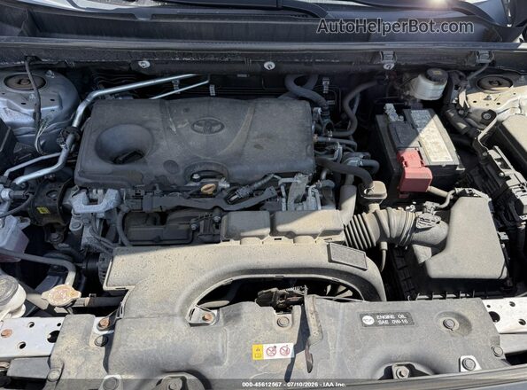 2T3N1RFV2KC054572 2019 TOYOTA RAV4 Серый Вид сзади