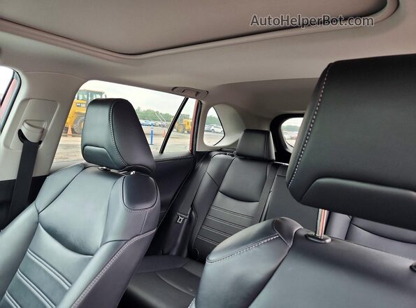 2T3N1RFV3LW083983 2020 TOYOTA RAV4 Burgundy Вид задніх сидінь