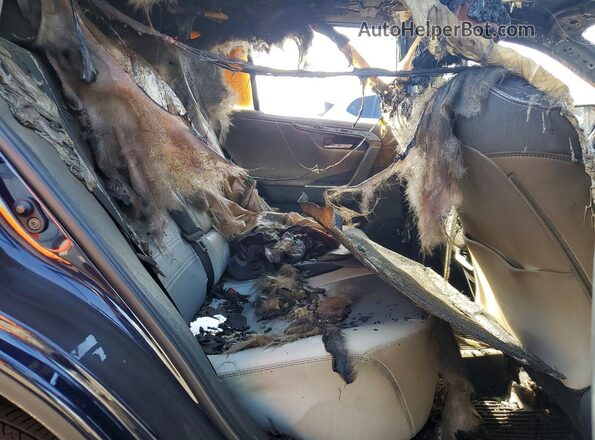 2T3N1RFV6NW312871 2022 TOYOTA RAV4 Blue Вид задньої частини салону