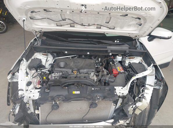 2T3N1RFVXKW054110 2019 TOYOTA RAV4 White Вид ззаду