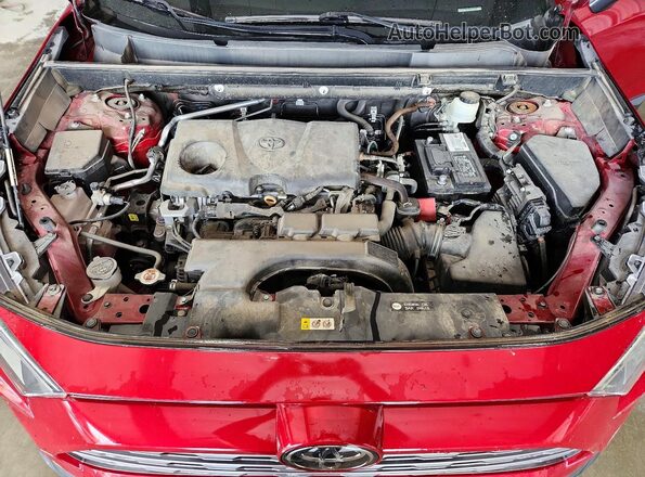 2T3N1RFVXLW085214 2020 TOYOTA RAV4 Maroon Вид задньої частини салону