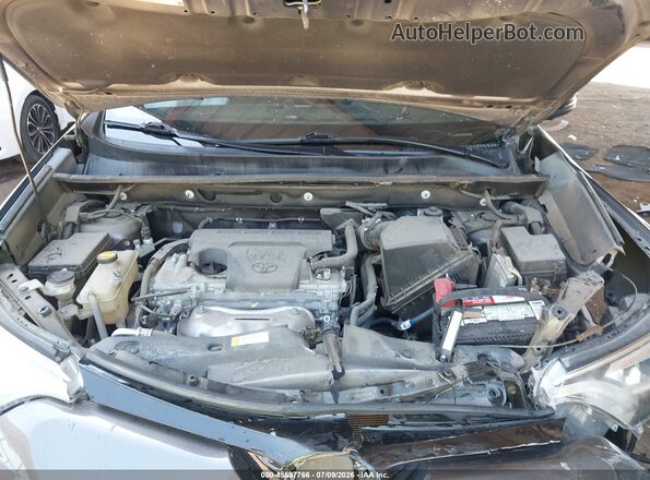 2T3NFREV1GW306613 2016 TOYOTA RAV4 Gray Vista trasera
