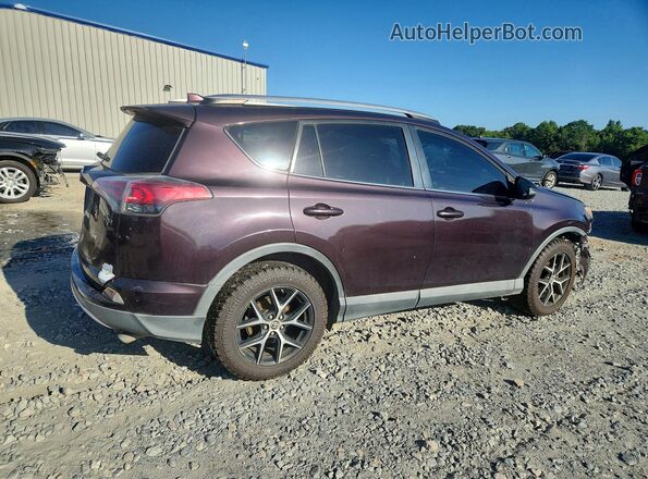 2T3NFREV3GW262047 2016 TOYOTA RAV4 Purple Задня права чверть