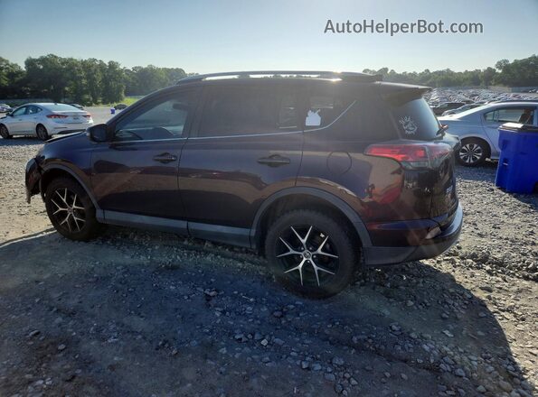 2T3NFREV3GW262047 2016 TOYOTA RAV4 Purple Задня ліва чверть