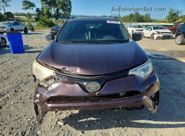2T3NFREV3GW262047 2016 TOYOTA RAV4 Purple Вид спереду