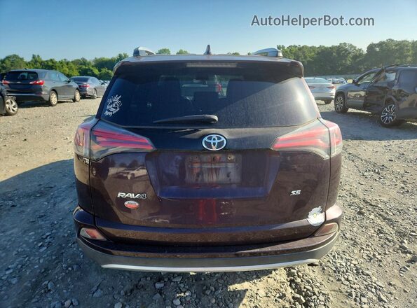 2T3NFREV3GW262047 2016 TOYOTA RAV4 Purple Вид ззаду