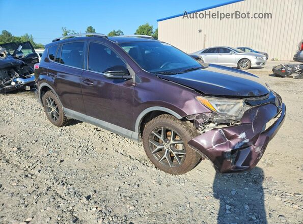 2T3NFREV3GW262047 2016 TOYOTA RAV4 Purple Передня права чверть