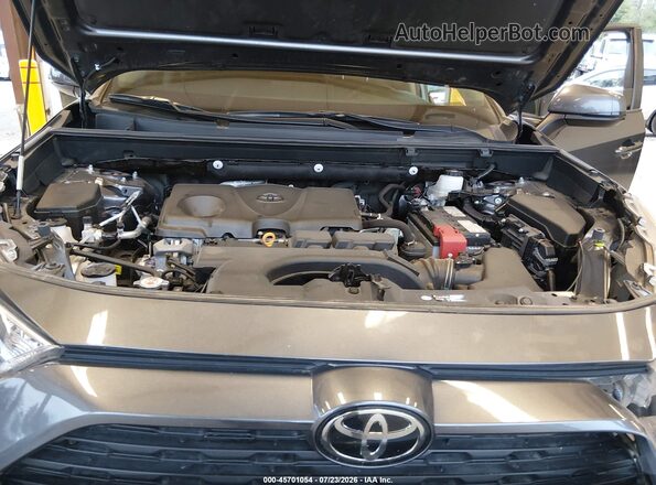 2T3P1RFV0MC190887 2021 TOYOTA RAV4 Blue Вид ззаду