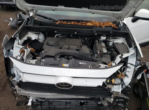 2T3P1RFV0PC370617 2023 TOYOTA RAV4 White Вид задньої частини салону