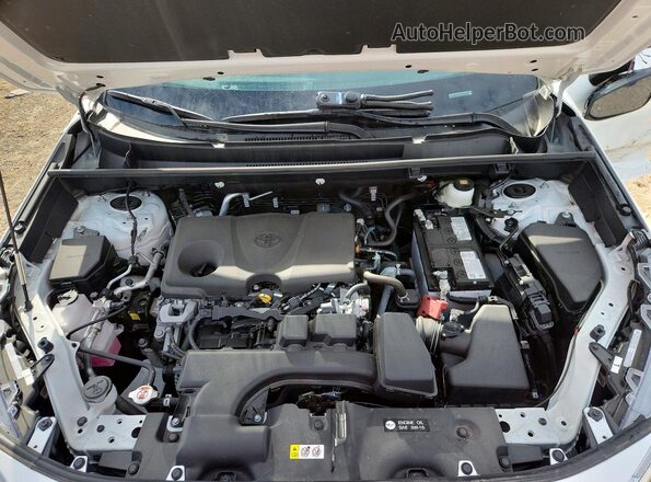 2T3P1RFV0SW632983 2025 TOYOTA RAV4 White Vista interior trasera