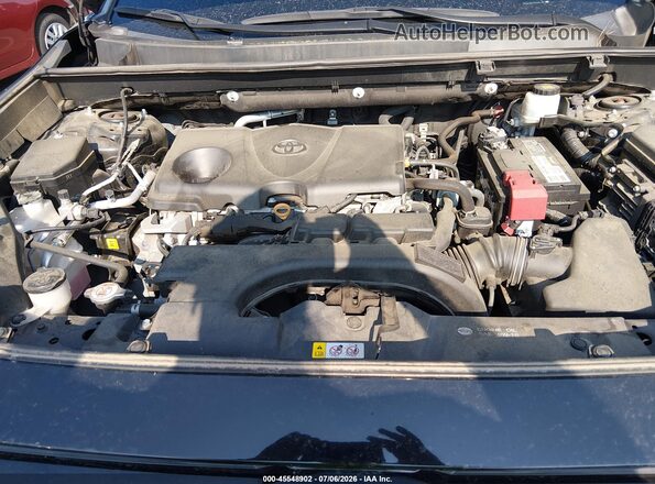 2T3P1RFV2LW124421 2020 TOYOTA RAV4 Blue Widok z tyłu